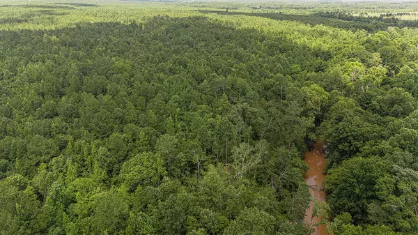 Tbd Burton DR, Edgefield, SC 29824