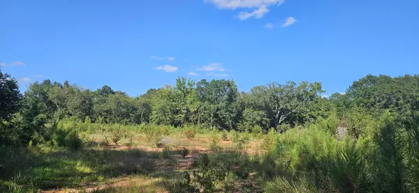 Washington, GA 30673,1497 Danburg RD