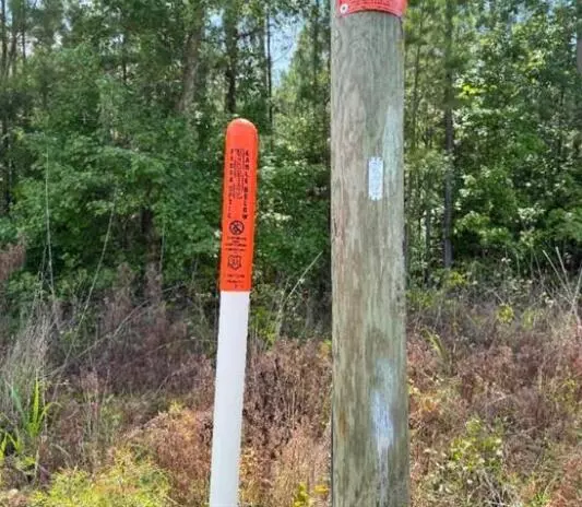 Ninety Six, SC 29666,Lot M3 Old Edgefield RD