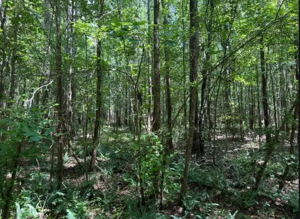 21ac Atomic, Beech Island, SC 29842
