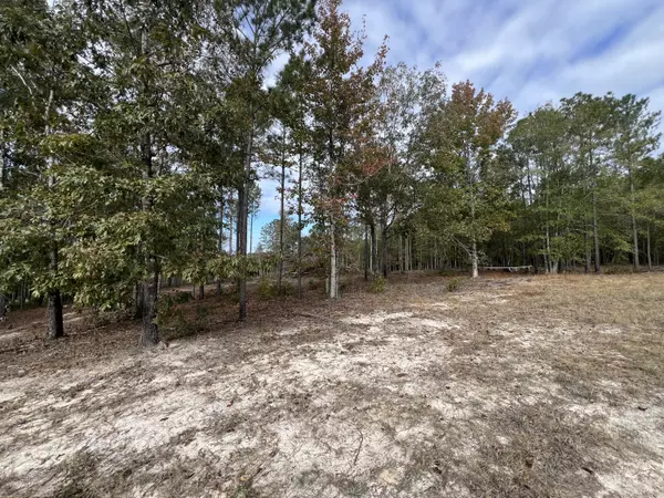 Gibson, GA 30810,3479 Bastonville RD