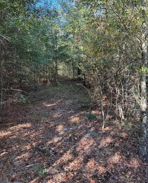 Windsor, SC 29856,Tbd Pearl Bonnett