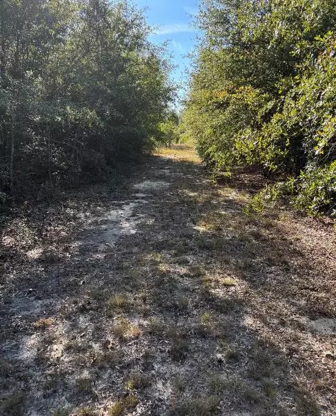 Windsor, SC 29856,Tbd Pearl Bonnett