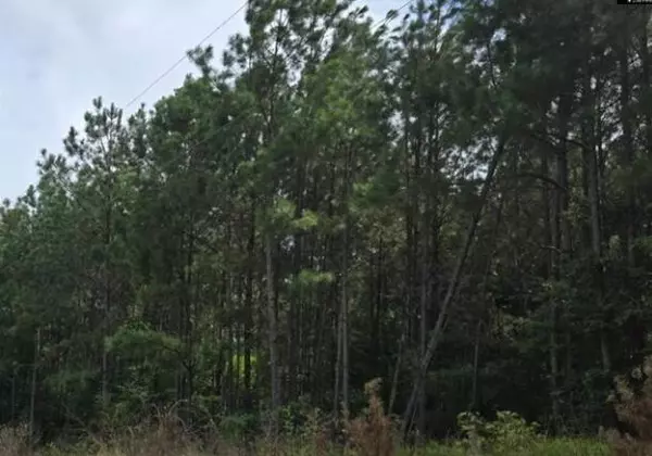 Lot M1 Old Edgefield RD, Ninety Six, SC 29666