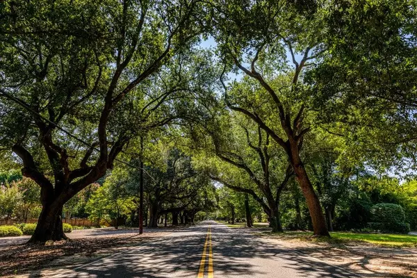 Aiken, SC 29803,2368 Cardigan DR