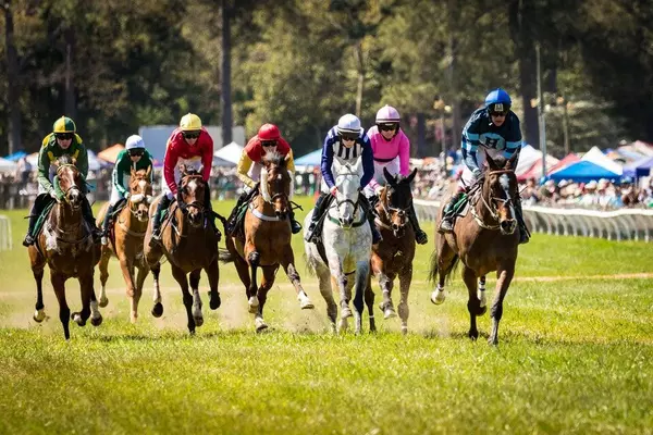 Aiken, SC 29803,2368 Cardigan DR