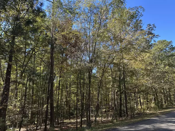 Mccormick, SC 29835,167 Southwind DR