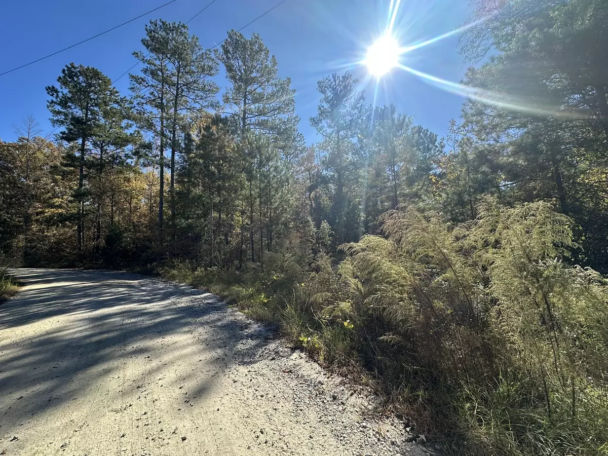 Lincolnton, GA 30817,Lot 27&28 Lakeshore Estates DR