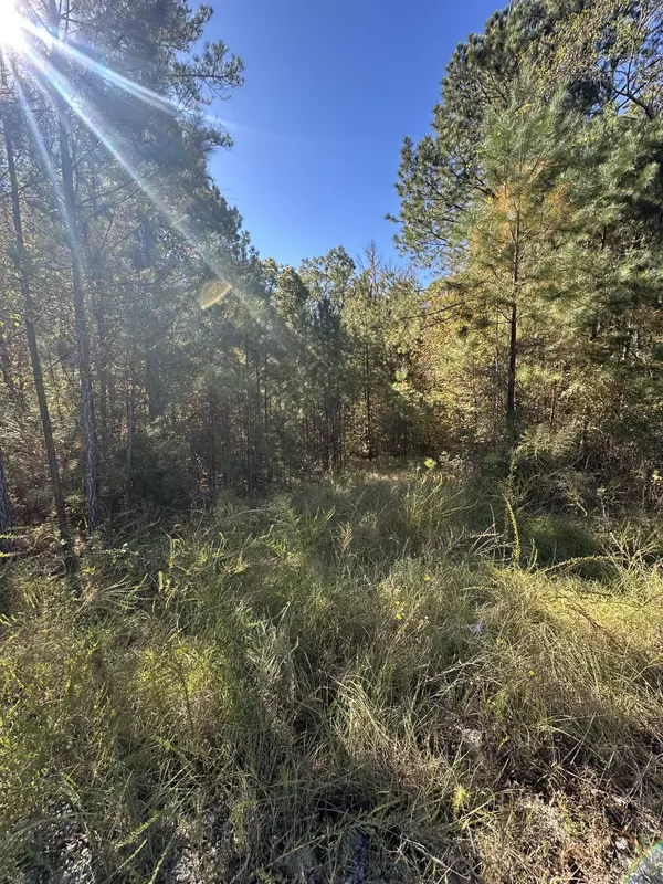 Lincolnton, GA 30817,Lot 27&28 Lakeshore Estates DR