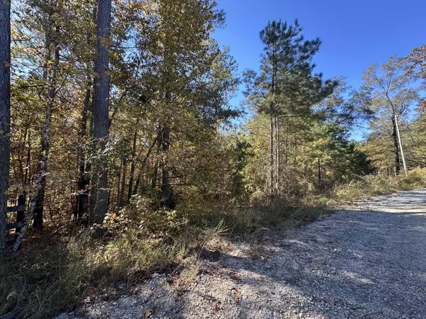 Lincolnton, GA 30817,Lot 27&28 Lakeshore Estates DR