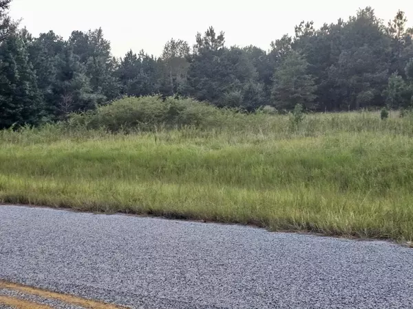 Waynesboro, GA 30830,300 Home Tract RD