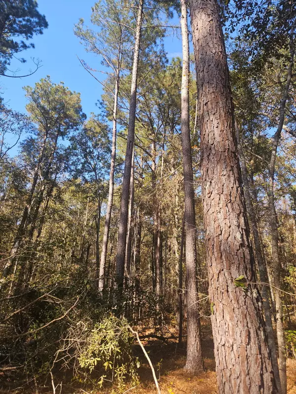 Wrens, GA 30833,3979 Campground RD