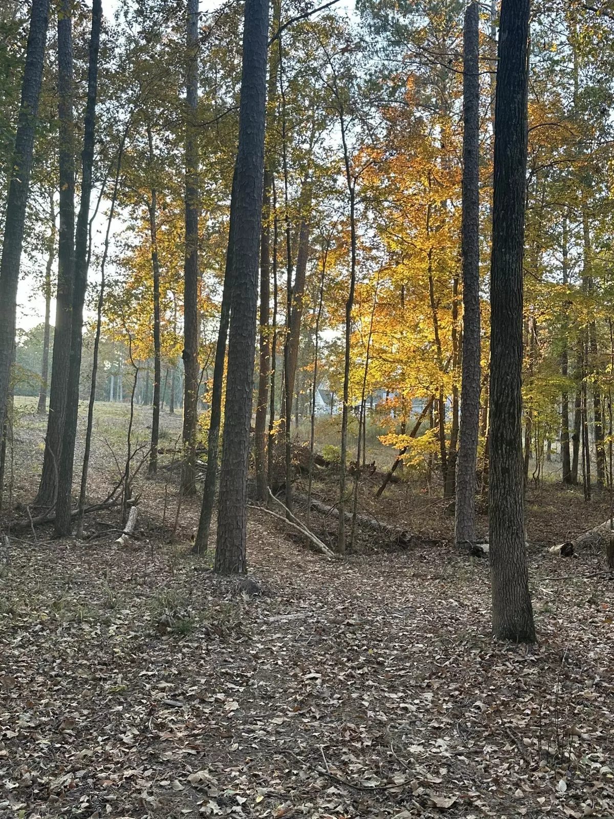 Lincolnton, GA 30817,8-3 Long Cove DR