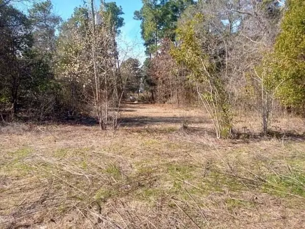 Hephzibah, GA 30815,3801 Shari ST