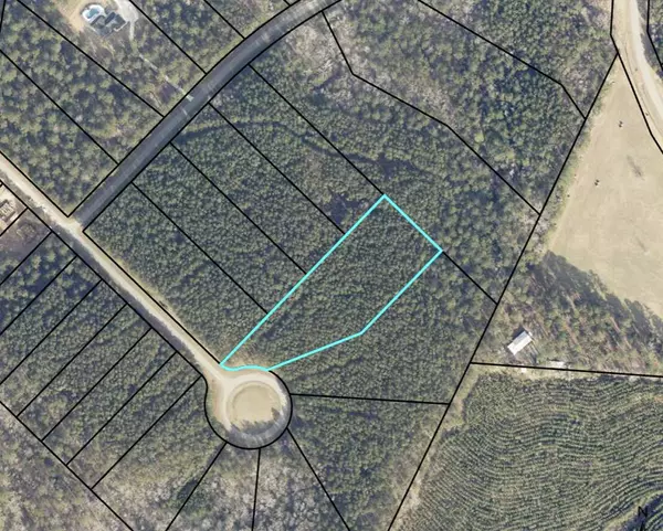 Tignall, GA 30668,1272 Sunset CV