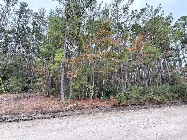 0 Raymona LN, Brooklet, GA 30415