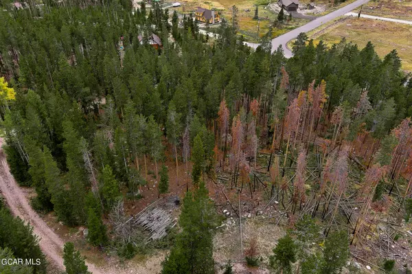 Grand Lake, CO 80447,91 Gertrude Breckon DR