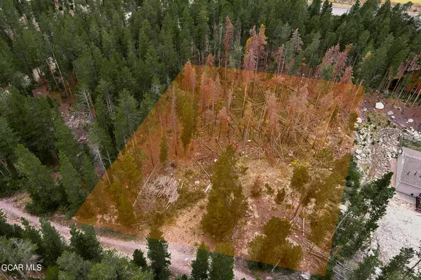 Grand Lake, CO 80447,91 Gertrude Breckon DR