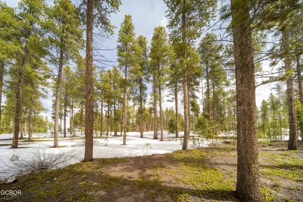 Tabernash, CO 80478,91 GCR 5117/Lolly LN