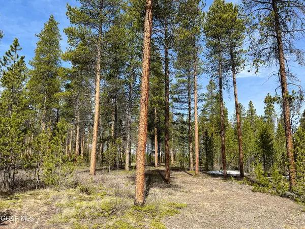 Fraser, CO 80442,60 GCR 5171B