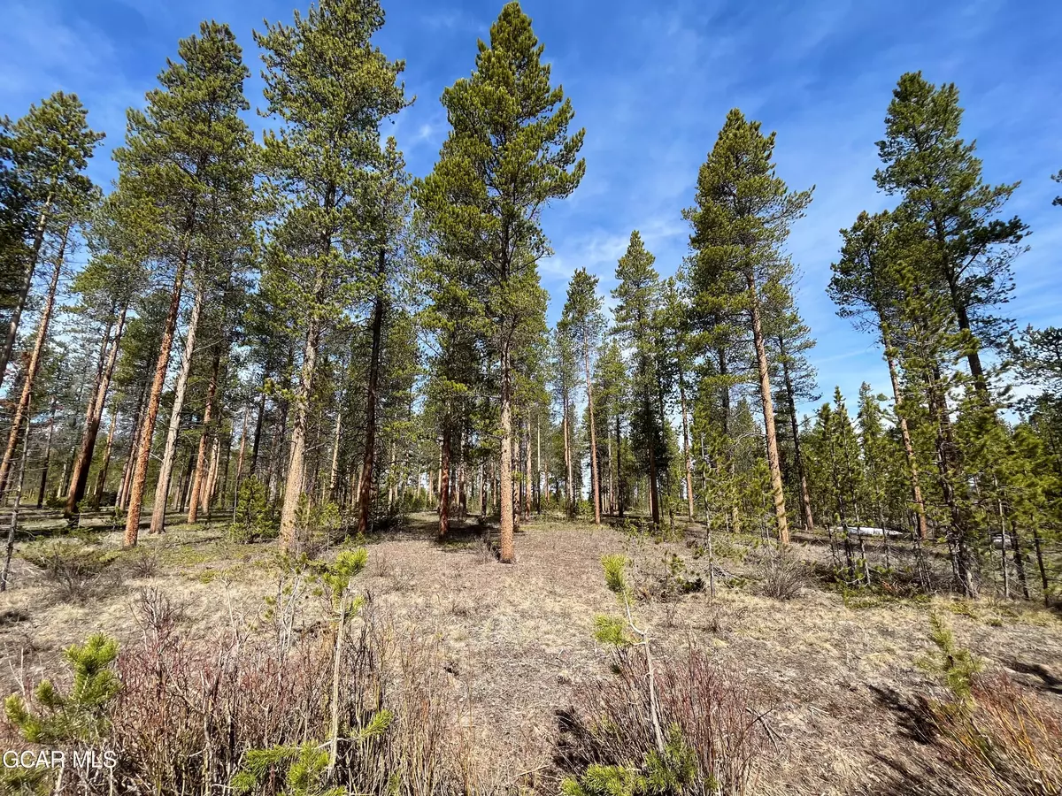 Fraser, CO 80442,60 GCR 5171B