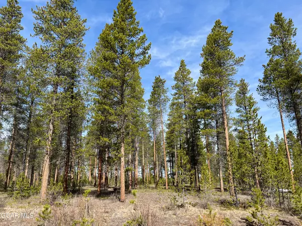 Fraser, CO 80442,60 GCR 5171B