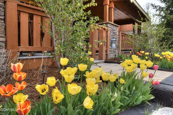 Fraser, CO 80442,34 Meadow TRL