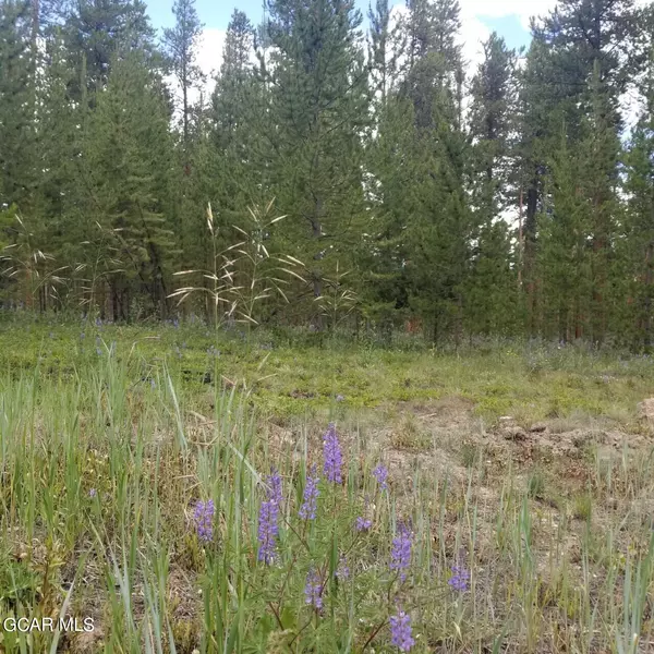 Tabernash, CO 80478,245 GCR 511 RD