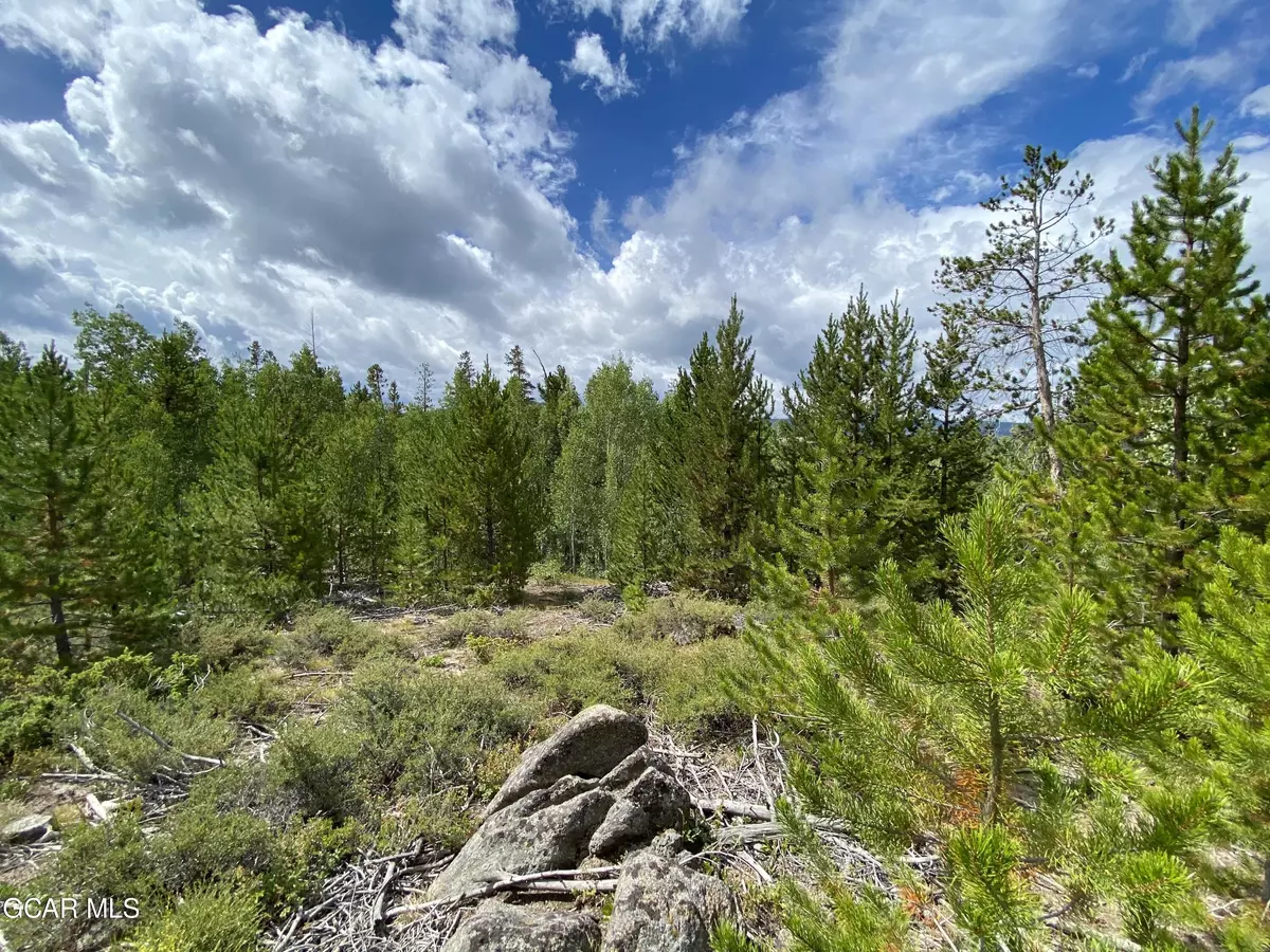 Tabernash, CO 80478,341 GCR 876