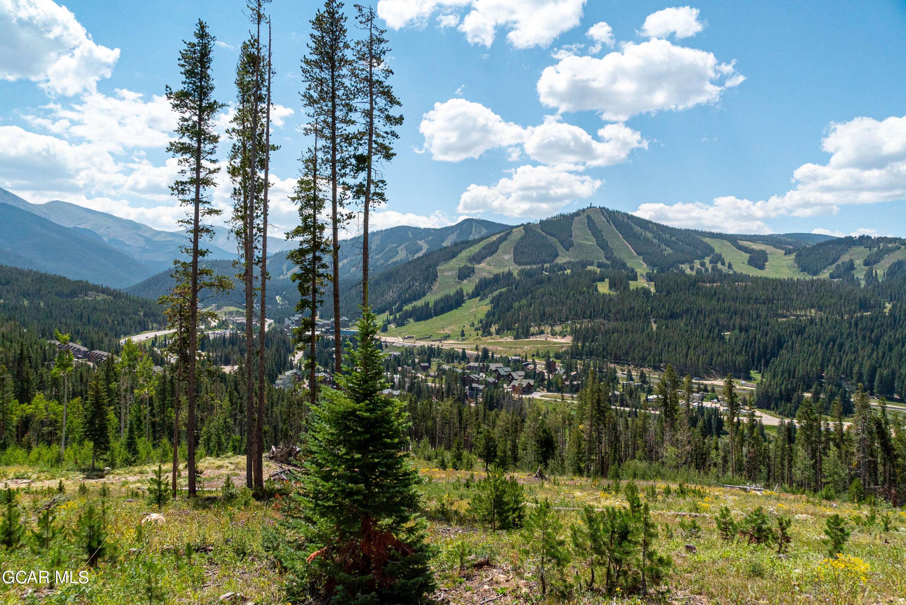 54 Cub Creek Way, Lot 3, Winter Park, CO 80482