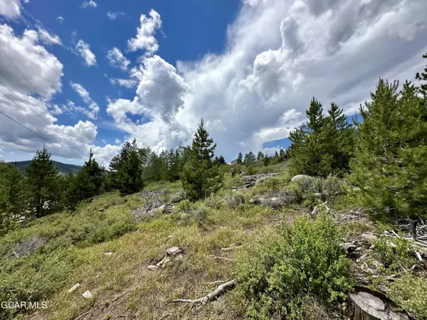 Tabernash, CO 80478,203 GCR 871 DR