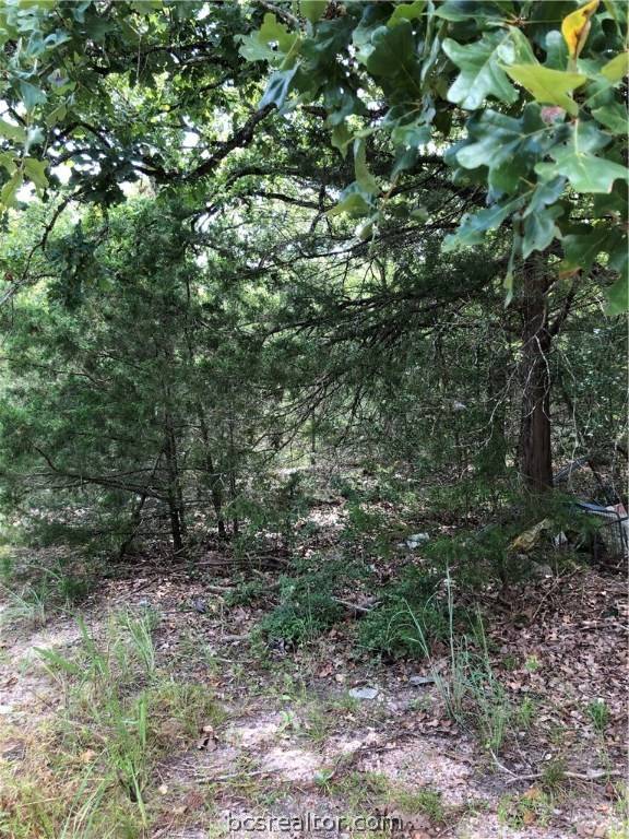 College Station, TX 77845,9999 Koppe Bridge RD