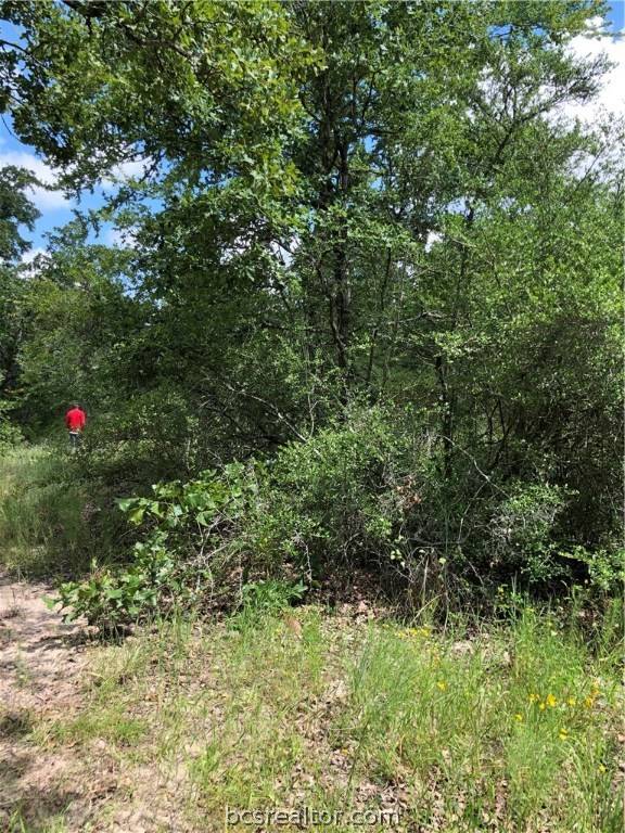 College Station, TX 77845,9999 Koppe Bridge RD