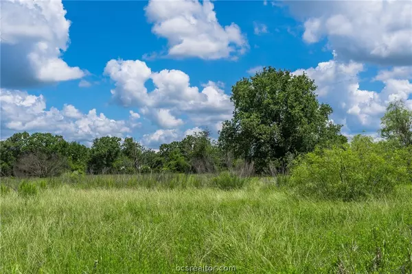 3 County Road 126, Bedias, TX 77831