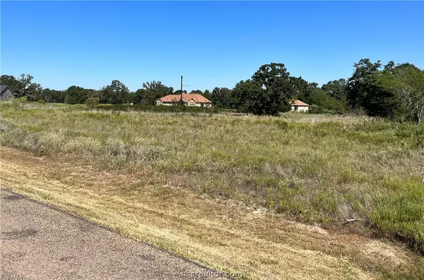 Iola, TX 77861,0000 Bedford CT