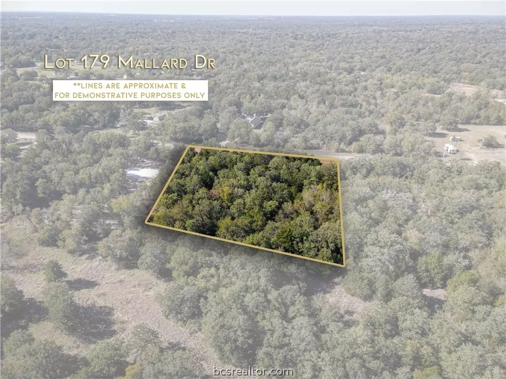 Caldwell, TX 77836,Lot 179 Mallard Dr