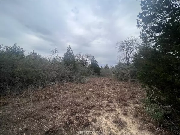 0.861 AC Apache, Caldwell, TX 77836