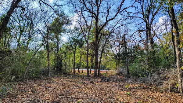 Franklin, TX 77856,Lot 25 Yorkshire TRL