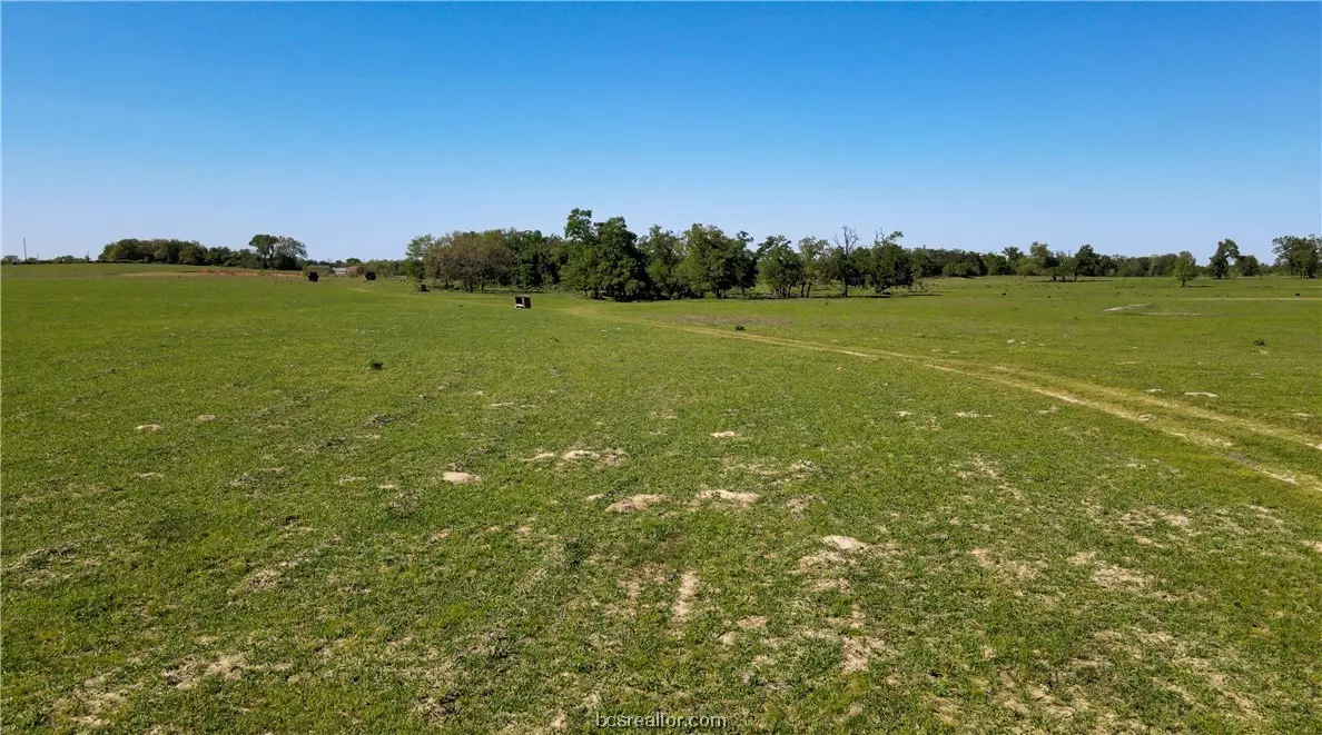 Milano, TX 76556,Lot 5 CR 234