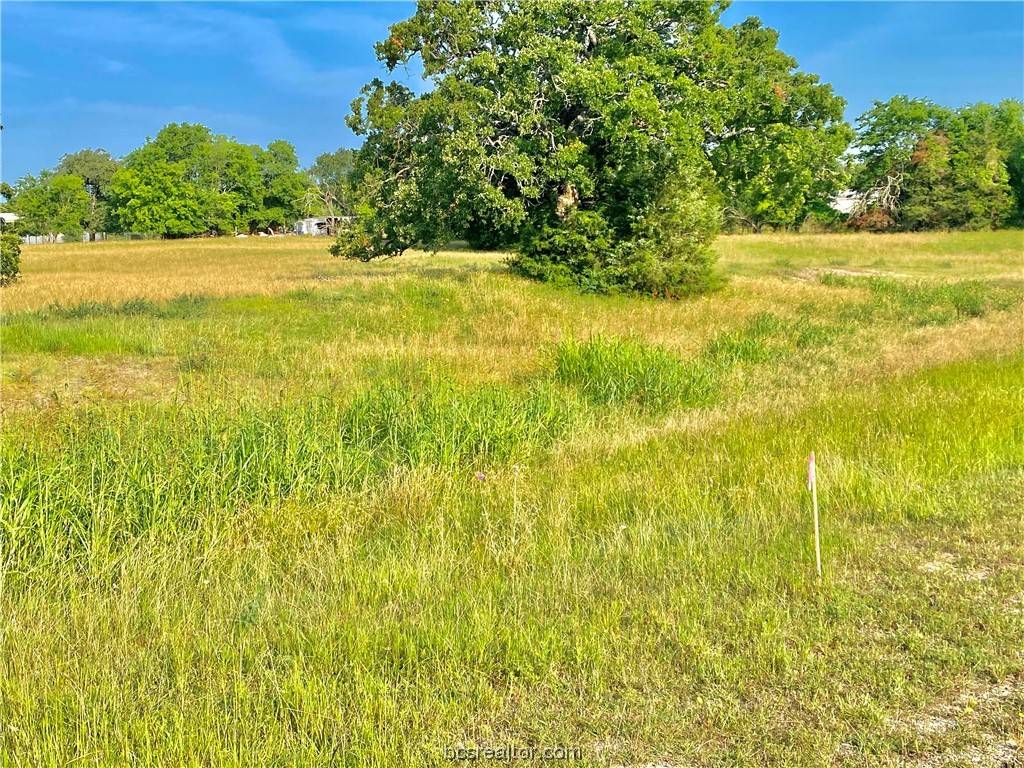 Bryan, TX 77808,TBD Hollow Heights DR