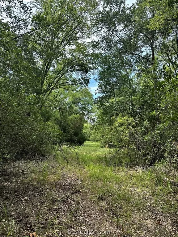 Franklin, TX 77856,TBD 20+/- Acres Fm 2549