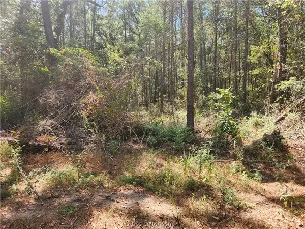 Plantersville, TX 77363,Lot 24 Yellow Poplar LN