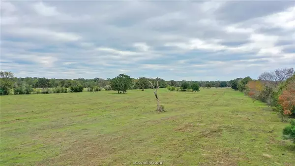 Madisonville, TX 77864,25 AC Grant RD