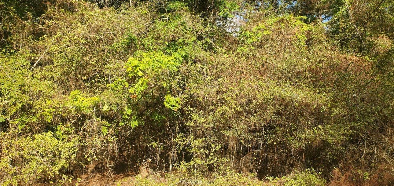 Lot 33 Drake LN, Hempstead, TX 77445