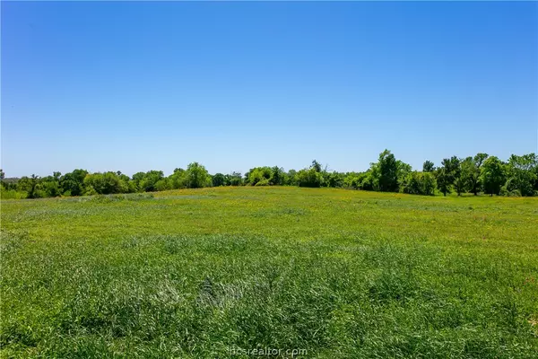 Caldwell, TX 77836,Lot 18A Brazos CT