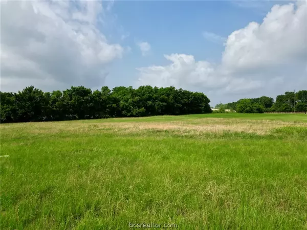 Anderson, TX 77830,000 Valley View DR