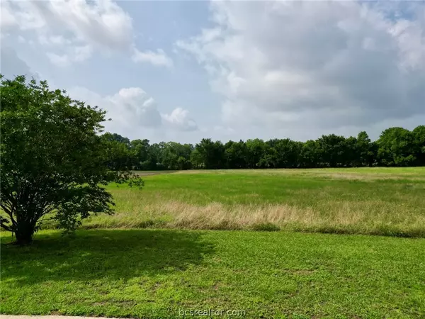 Anderson, TX 77830,000 Valley View DR