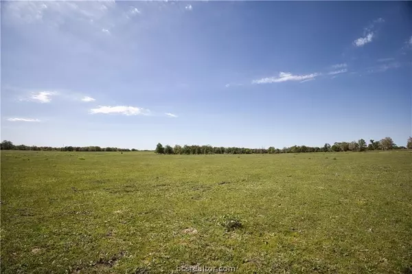 Milano, TX 76556,10.04 AC County Road 234