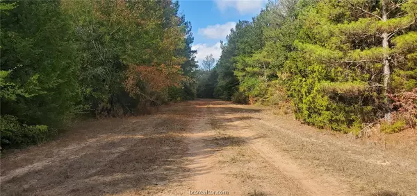 Lot 5 Jackrabbit Dr., Hempstead, TX 77445