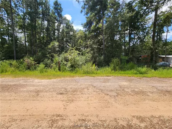 Plantersville, TX 77363,Lot 4 Coral Bean LN